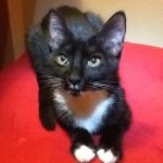Profile photo of Patrizia